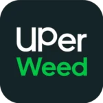 Uper Weed Toronto