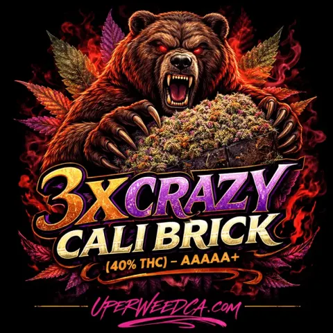 3X Crazy