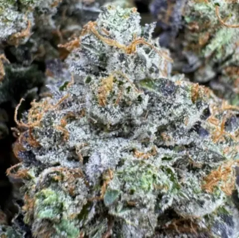 Bubba Goo