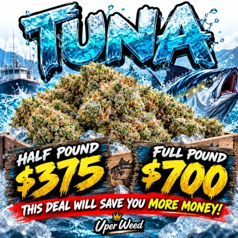Tuna