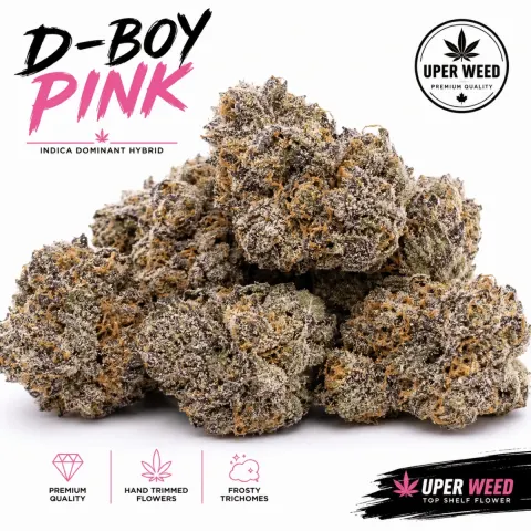 D-Boy Pink