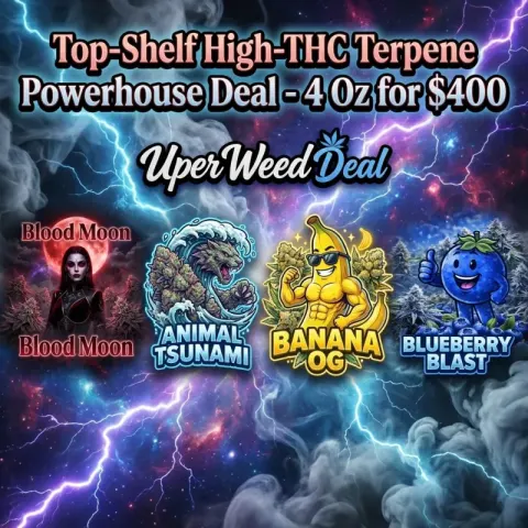 Top-Shelf High-THC Terpene Powerhouse Deal - 4 Oz for $400