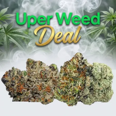 The Billion-Dollar Heavyweight Cali Deal – Full Pound (16 Oz) for $1700