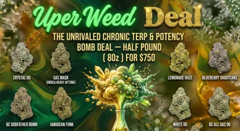 The Unrivaled Chronic Terp & Potency Bomb Deal – Half Pound ( 8Oz ) for $750