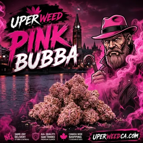 Pink Bubba