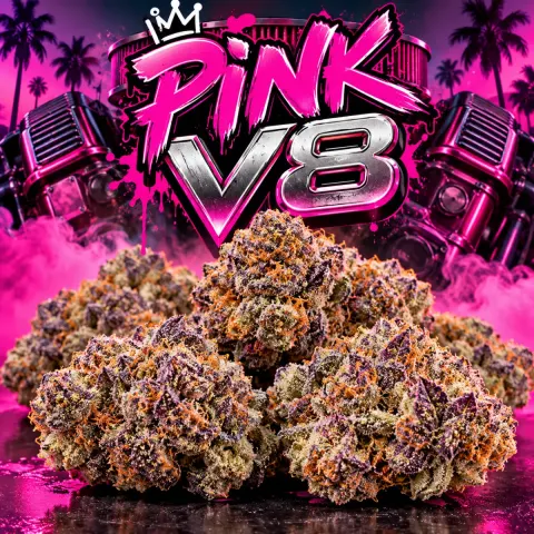 Pink V8
