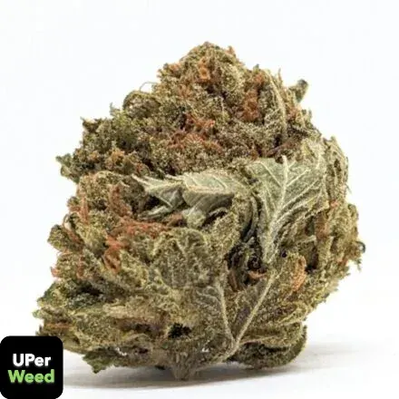 LA Confidential