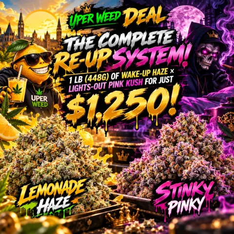 THE COMPLETE RE-UP SYSTEM: 1 lb (448g) of Wake-Up Haze × Lights-Out Pink Kush for Just $1,250!