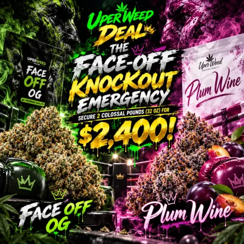 THE FACE-OFF KNOCKOUT EMERGENCY: SECURE 2 COLOSSAL POUNDS (32 OZ) FOR $2,400!