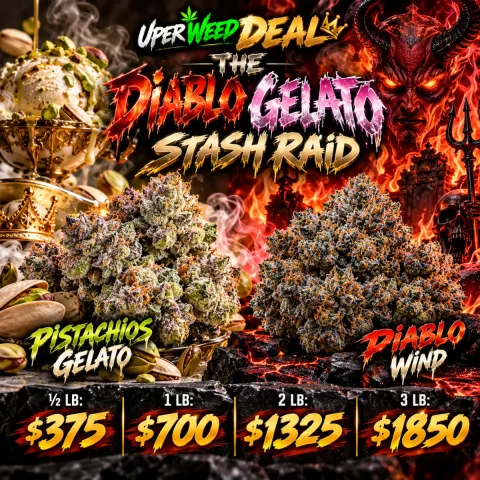 THE DIABLO GELATO STASH RAID: ½ LB: $375 | 1 LB: $700 | 2 LB: $1325 | 3 LB: $1850