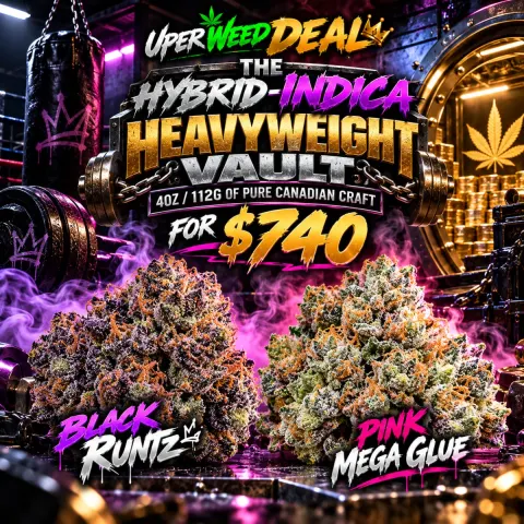 THE HYBRID-INDICA HEAVYWEIGHT VAULT: 4OZ / 112g OF PURE CANADIAN CRAFT FOR $740