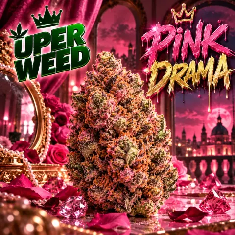Pink Drama