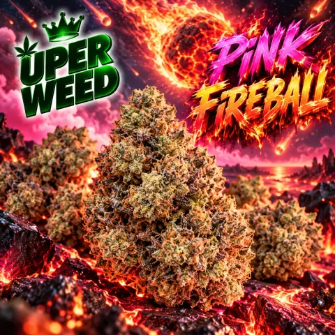 Pink Fireball