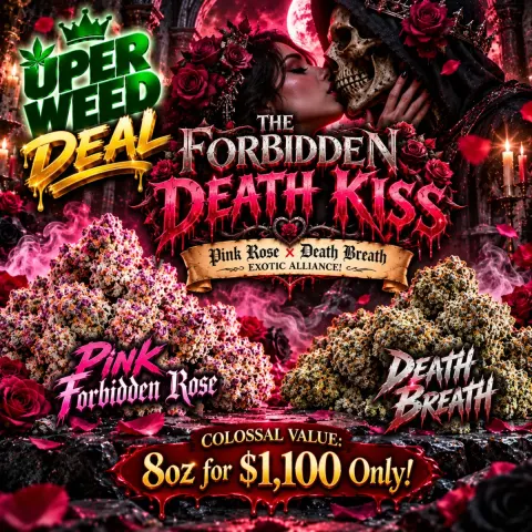 THE FORBIDDEN DEATH KISS: Pink Rose x Death Breath Exotic Alliance! 🖤 [Colossal Value: 8oz for $1,100 Only!]