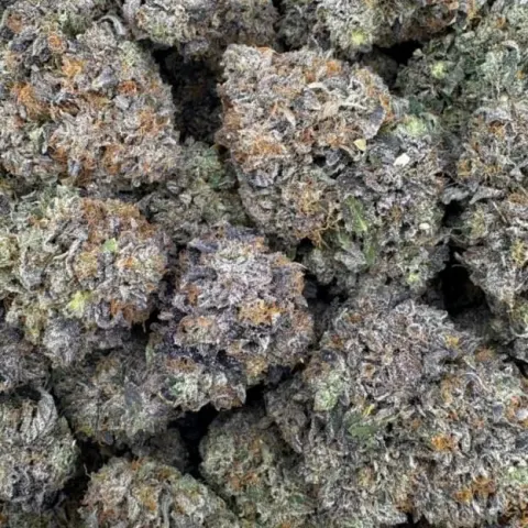 Stinky Pink - Cali Bricks