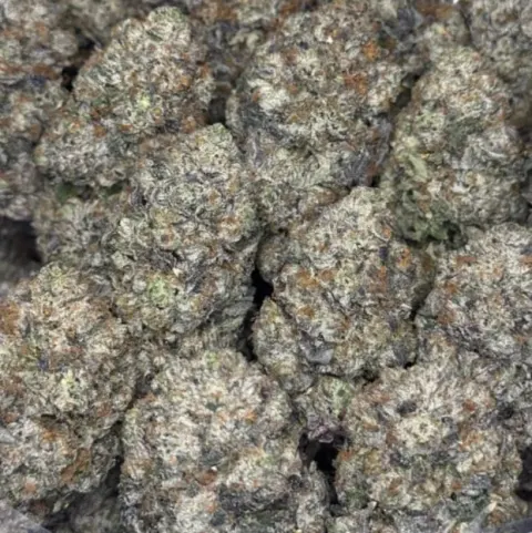 Purple Demon Indica - BC Bricks