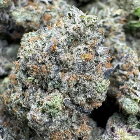 Gas Cream Cake