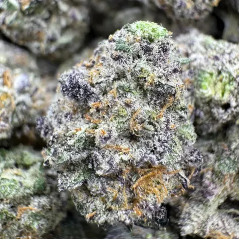 Jack Herer