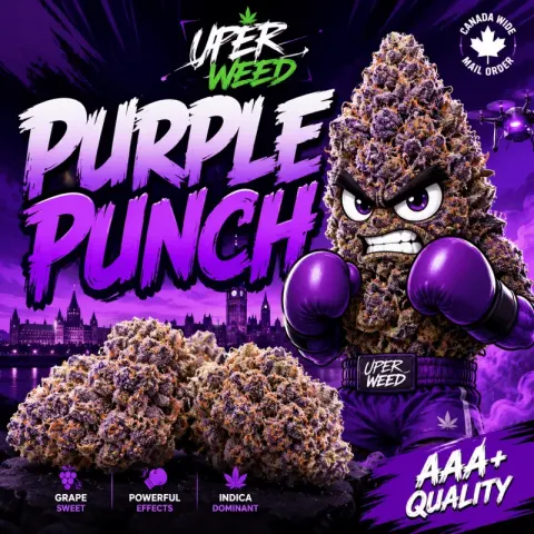 Purple Punch