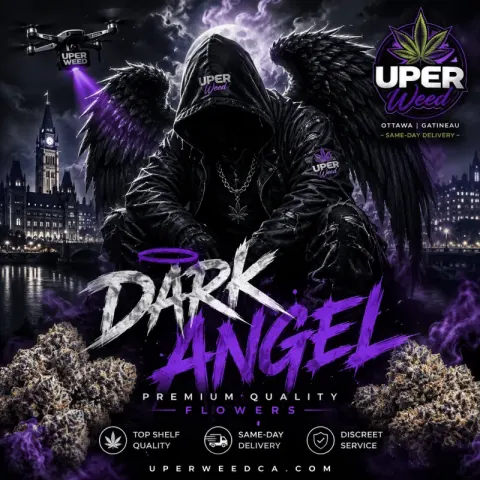 Dark Angel
