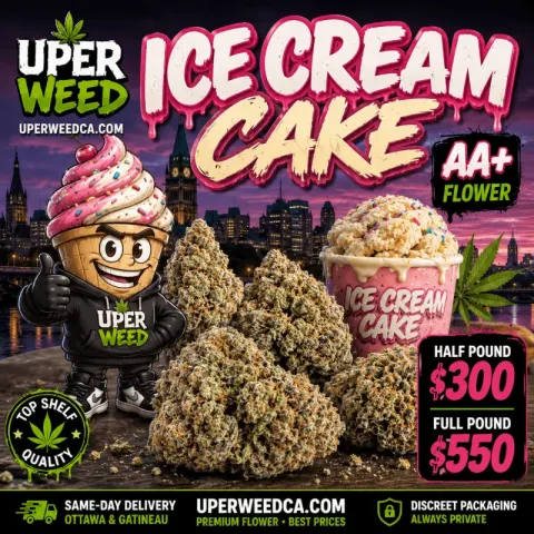 Ice Cream Cake