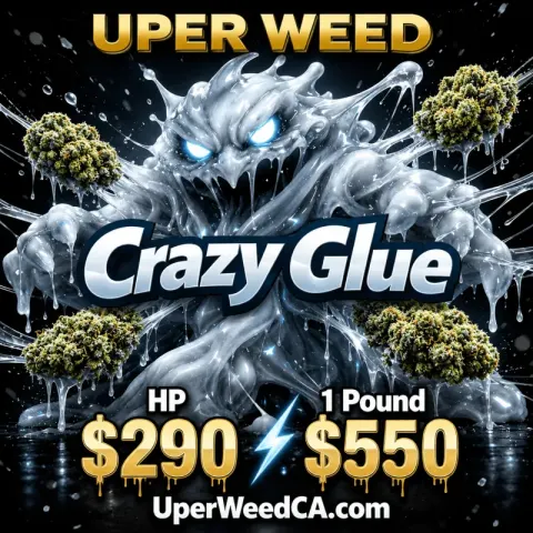 Crazy Glue
