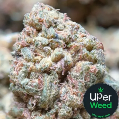 Lemon Skunk Diesel