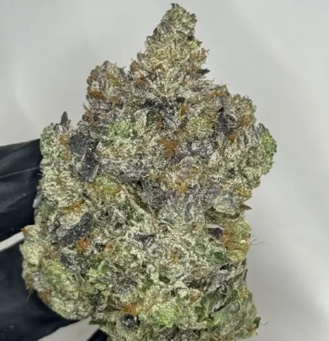Loud Dream