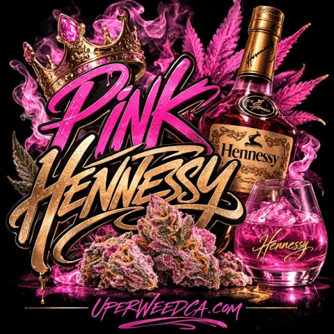 Pink Hennessy