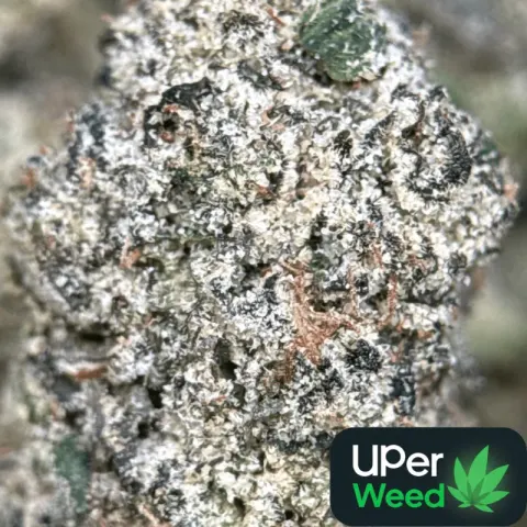 Purple Gas