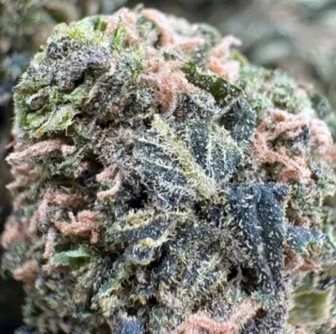 Purple Trainwreck