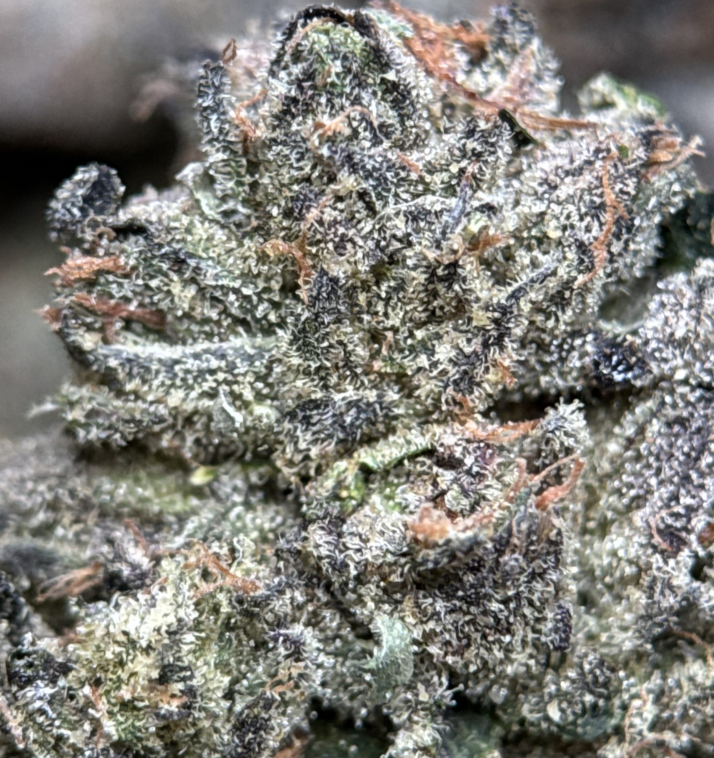 Super Stinky product image 3