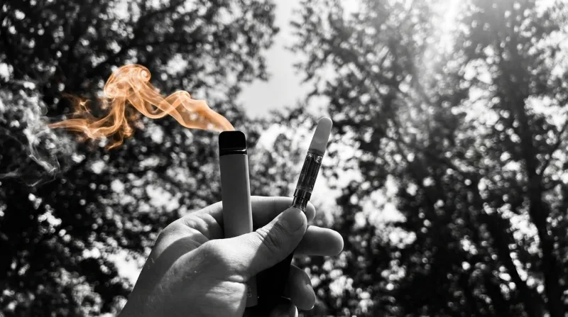Disposable Vape vs Cartridge: Which Should Toronto Buyers Choose?