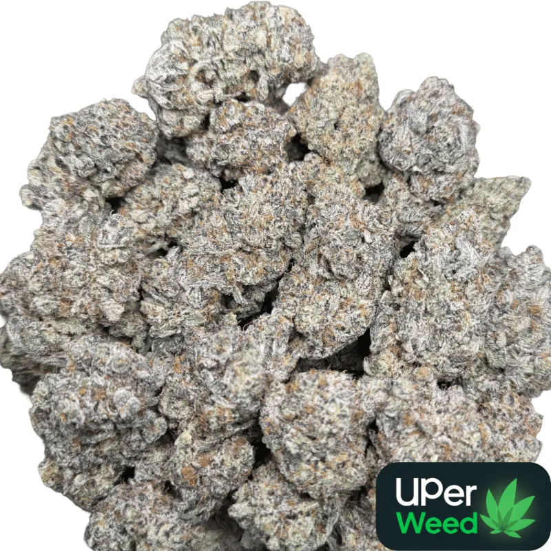Amnesia Gold 6A+ product image 13