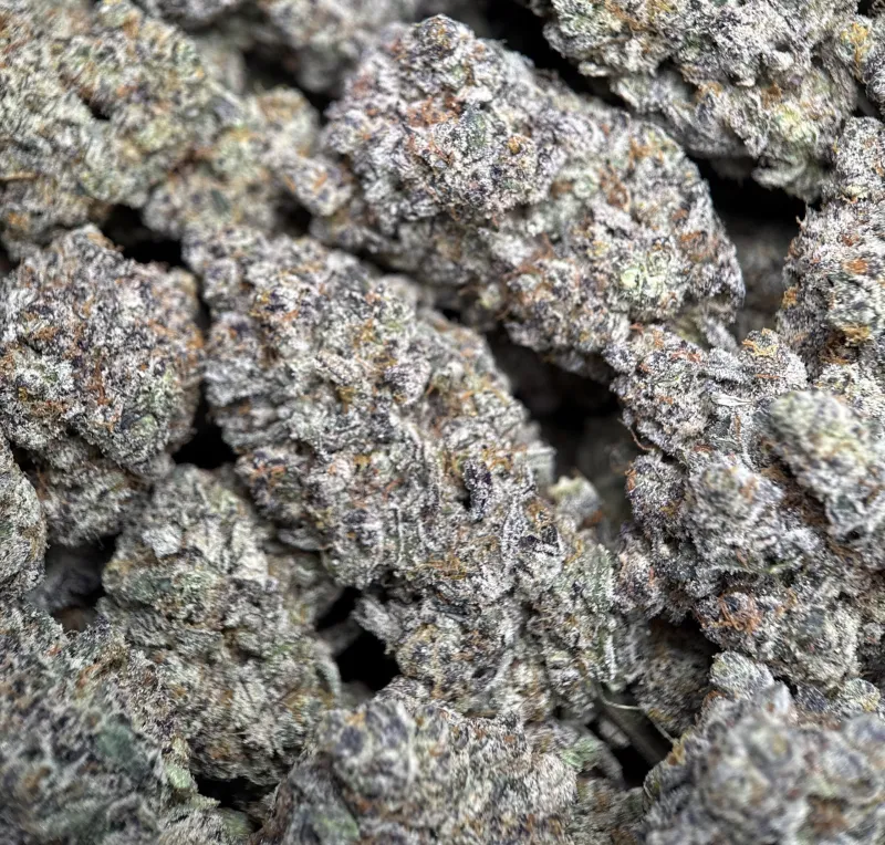Amnesia Gold 6A+ product image 3