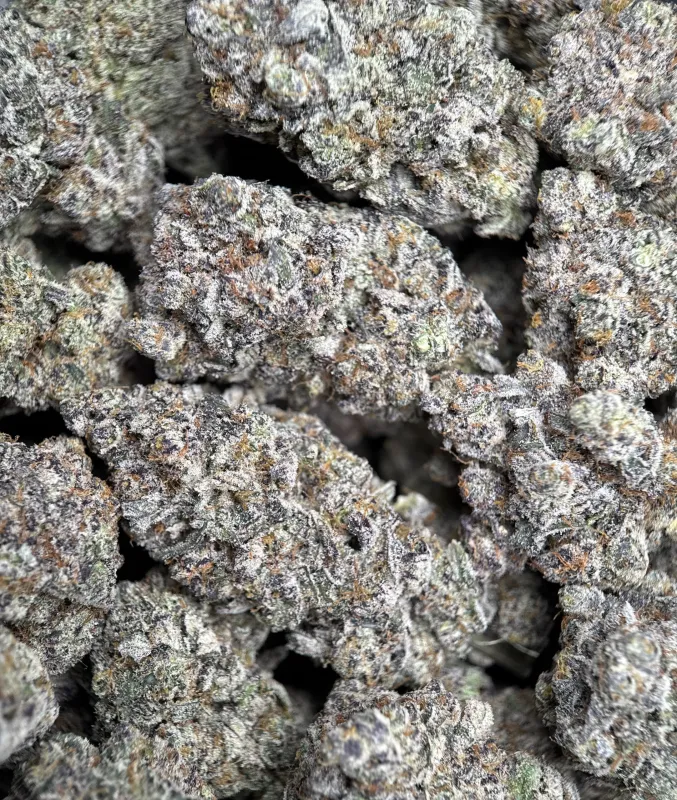 Amnesia Gold 6A+ product image 5