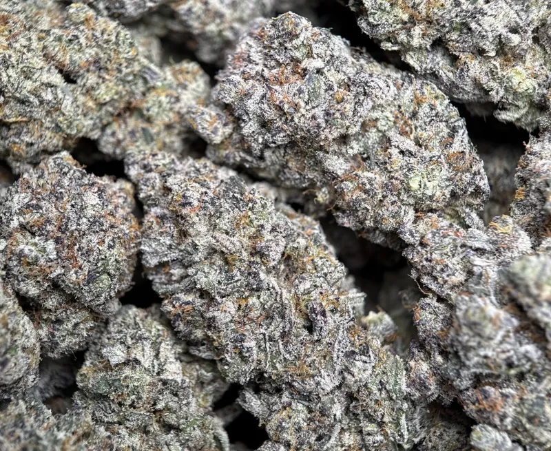 Amnesia Gold 6A+ product image 7