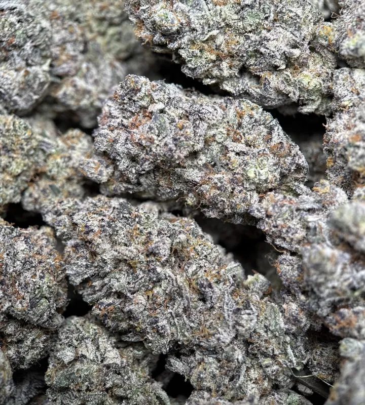 Amnesia Gold 6A+ product image 9