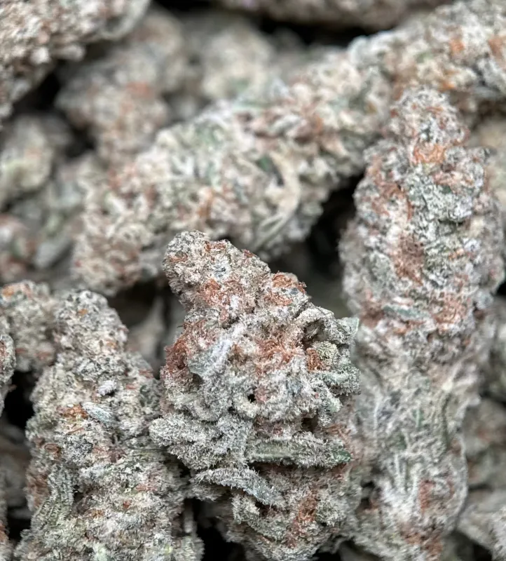 Astro Biscotti product image 3