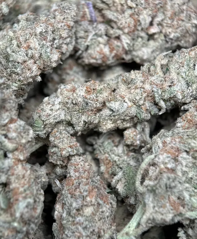 Astro Biscotti product image 5