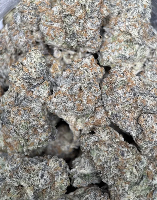 Astro Candy product image 3