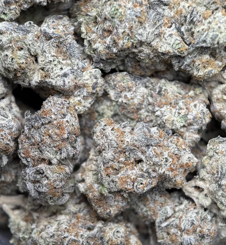Astro Candy product image 5