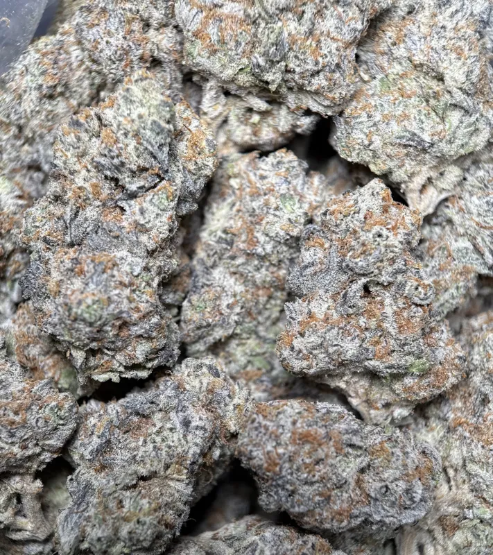 Astro Candy product image 6