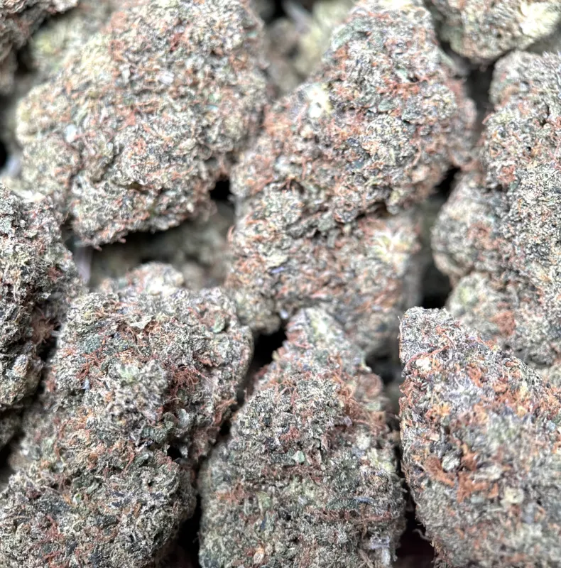 Astro Kush product image 2