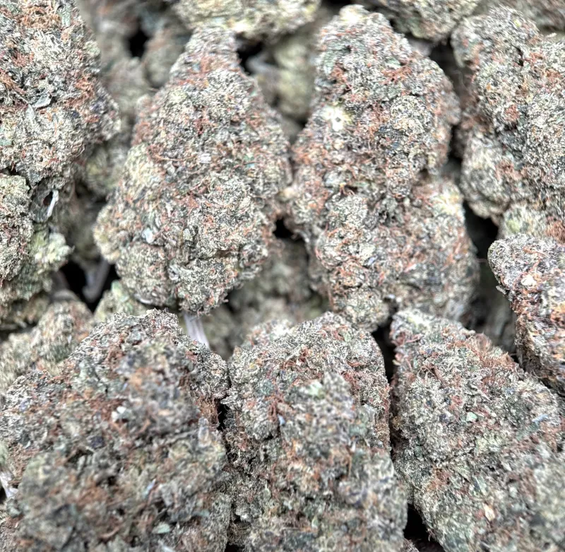 Astro Kush product image 5