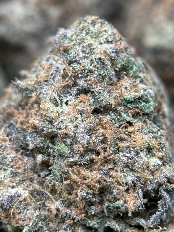BC Alien Cream Cake product image 3