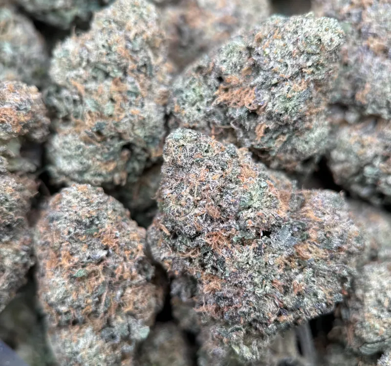 BC Alien Cream Cake product image 4