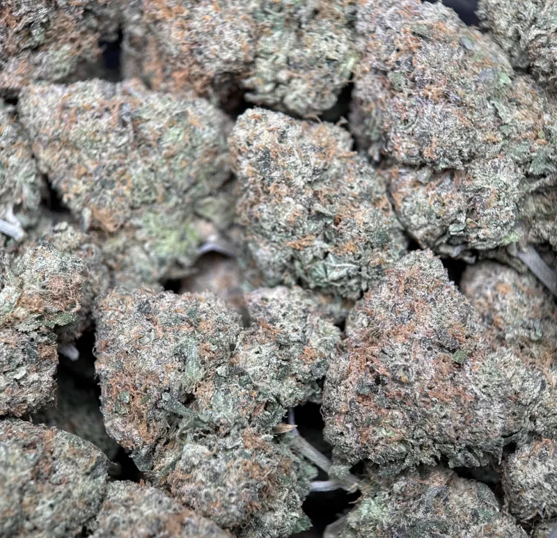 BC Alien Cream Cake product image 5