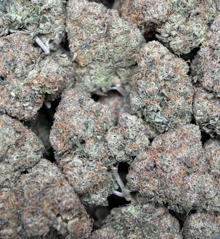 BC Alien Cream Cake product image 7