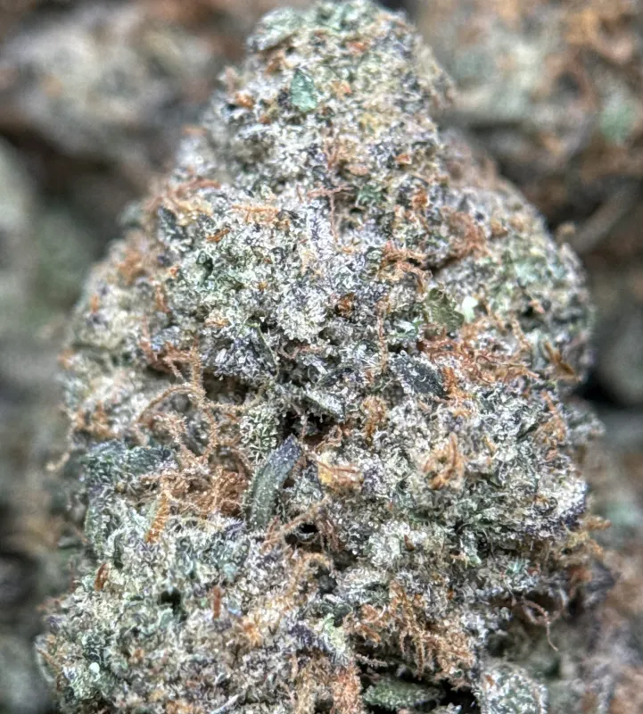 BC Alien Cream Cake product image 8
